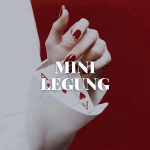 Mini Legung - 10 Min. aufgenommene Legung